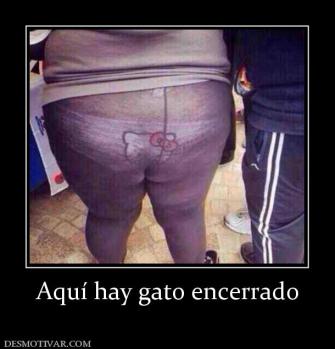 Aquí hay gato encerrado