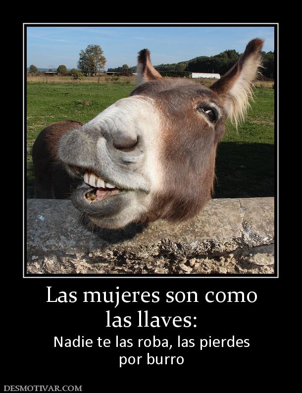 Las mujeres son como las llaves: Nadie te las roba, las pierdes por burro