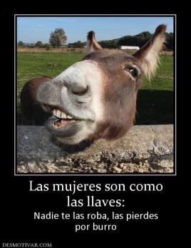 Las mujeres son como las llaves: Nadie te las roba, las pierdes por burro