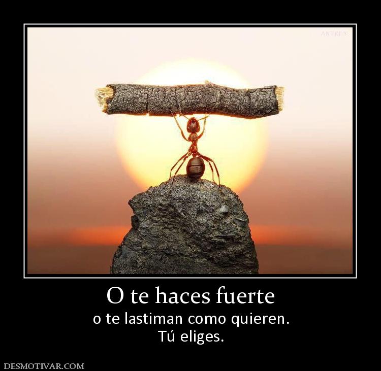 O te haces fuerte o te lastiman como quieren. Tú eliges.