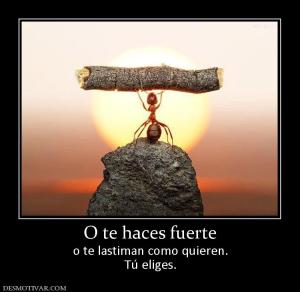 O te haces fuerte o te lastiman como quieren. Tú eliges.