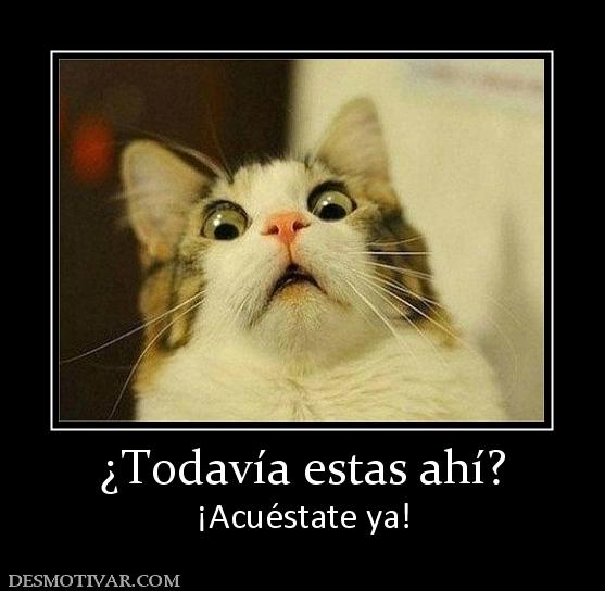 ¿Todavía estas ahí? ¡Acuéstate ya!