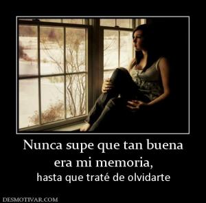 Nunca supe que tan buena era mi memoria, hasta que traté de olvidarte
