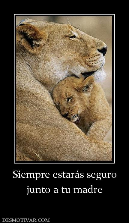 Siempre estarás seguro junto a tu madre