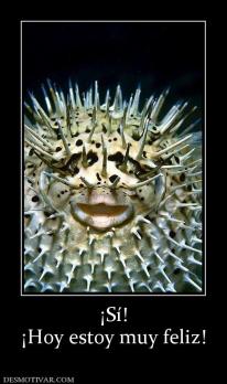 ¡Sí! ¡Hoy estoy muy feliz!