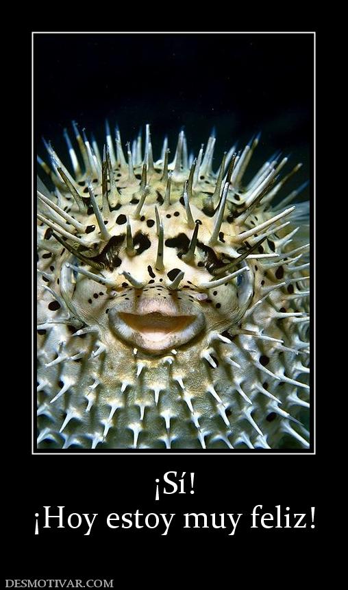 ¡Sí! ¡Hoy estoy muy feliz!