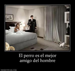 El perro es el mejor amigo del hombre