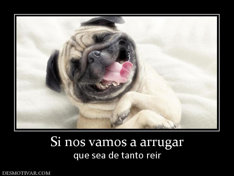 Si nos vamos a arrugar que sea de tanto reir