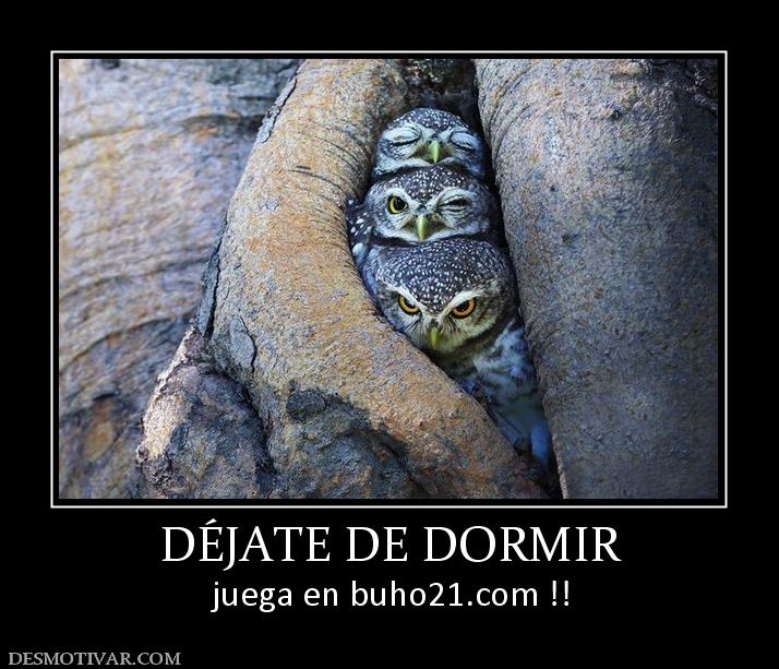 DÉJATE DE DORMIR juega en buho21.org !!