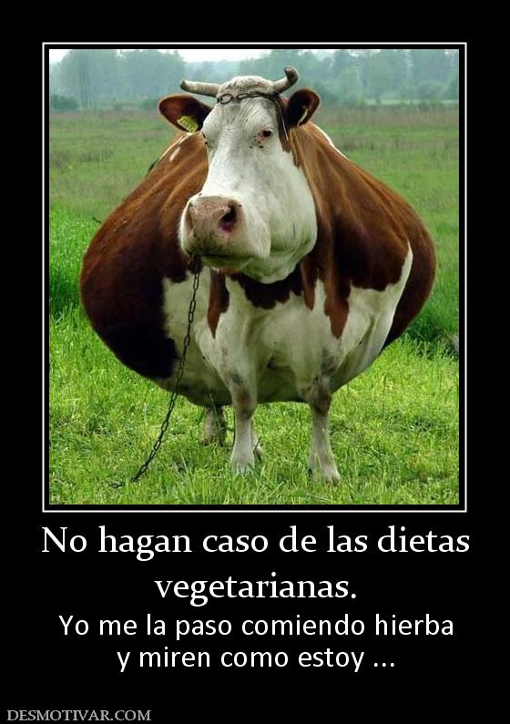 No hagan caso de las dietas vegetarianas. Yo me la paso comiendo hierba y miren como estoy ...