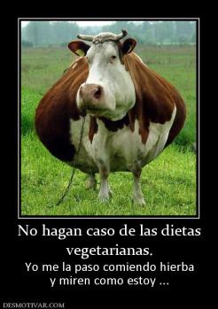No hagan caso de las dietas vegetarianas. Yo me la paso comiendo hierba y miren como estoy ...