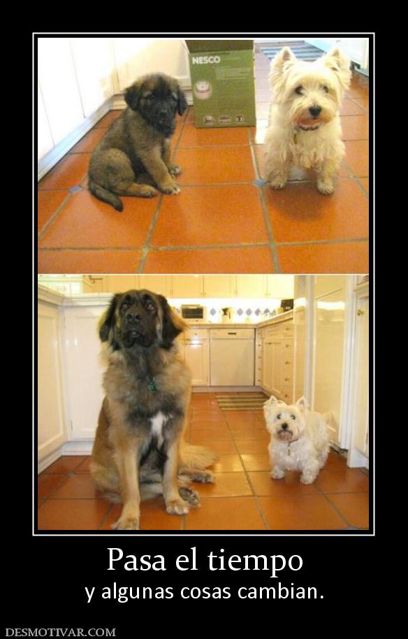 Pasa el tiempo y algunas cosas cambian.