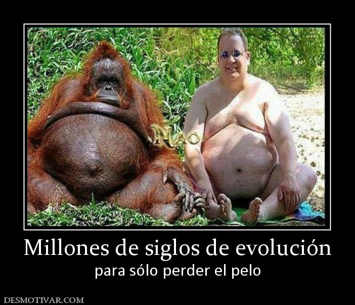 Millones de siglos de evolución para sólo perder el pelo