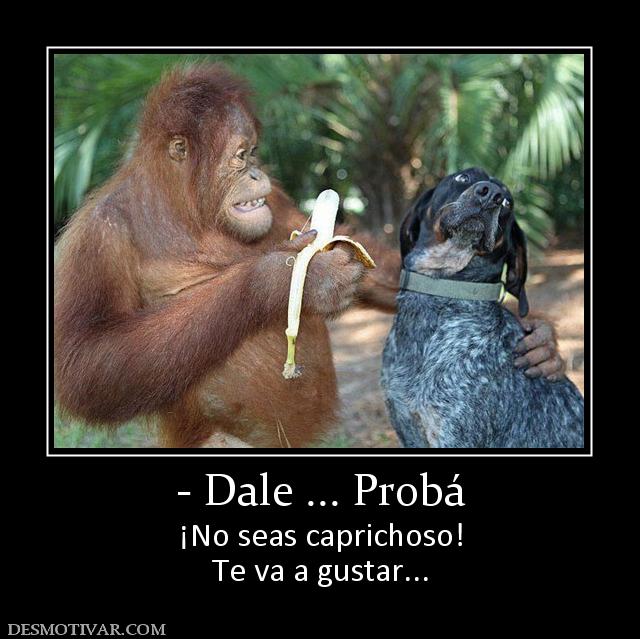 - Dale ... Probá ¡No seas caprichoso! Te va a gustar...