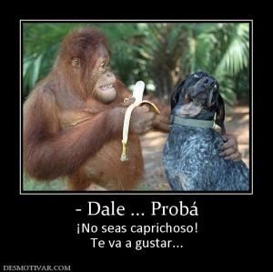 - Dale ... Probá ¡No seas caprichoso! Te va a gustar...