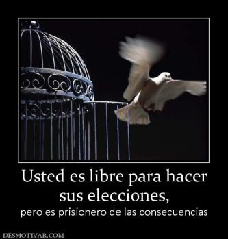 Usted es libre para hacer sus elecciones,  pero es prisionero de las consecuencias