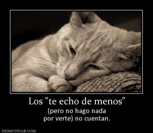 Los  (pero no hago nada por verte) no cuentan.