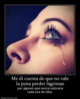 Me di cuenta de que no vale la pena perder lágrimas por alguien que nunca valoraría cada una de ellas.