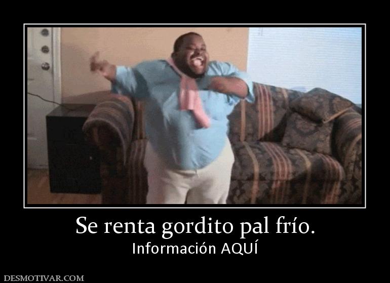 Se renta gordito pal frío. Información AQUÍ