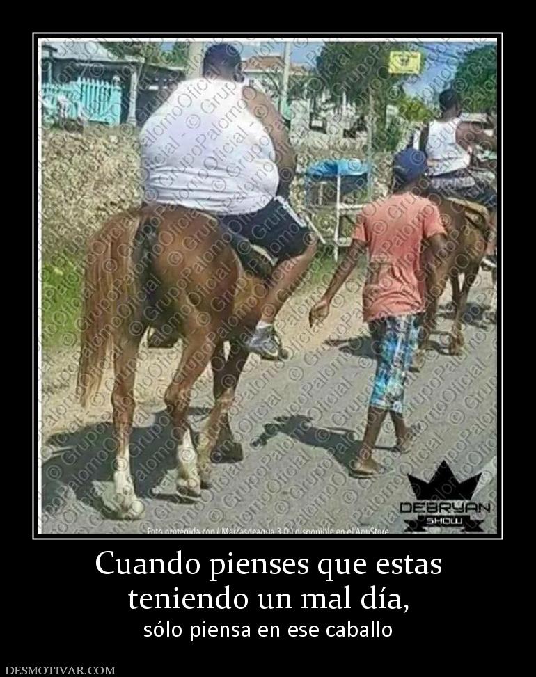 Cuando pienses que estas teniendo un mal día, sólo piensa en ese caballo