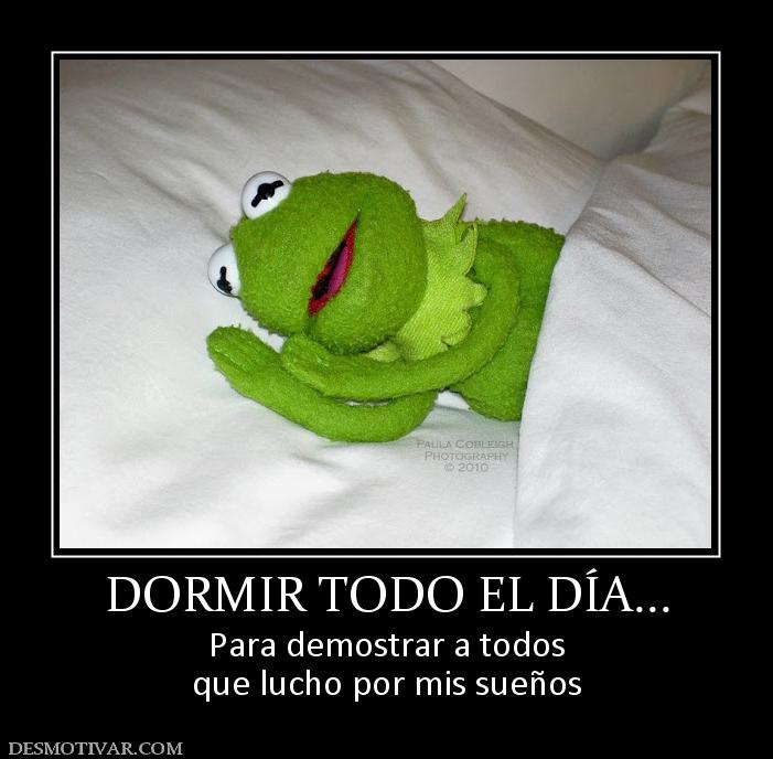 DORMIR TODO EL DÍA... Para demostrar a todos que lucho por mis sueños