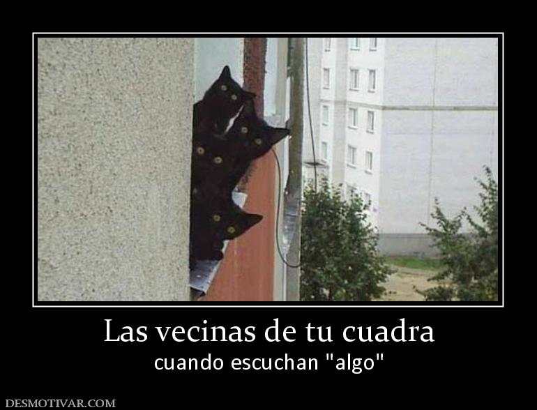 Las vecinas de tu cuadra cuando escuchan