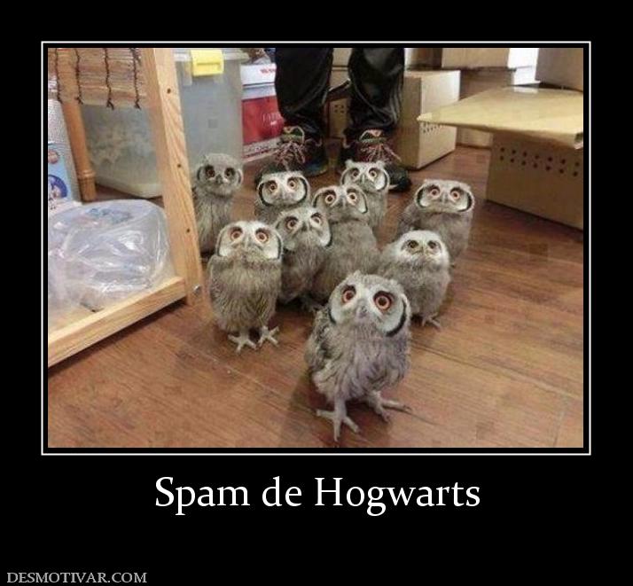 Spam de Hogwarts