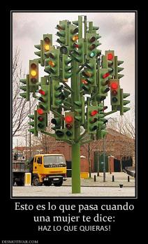 Esto es lo que pasa cuando una mujer te dice: HAZ LO QUE QUIERAS!