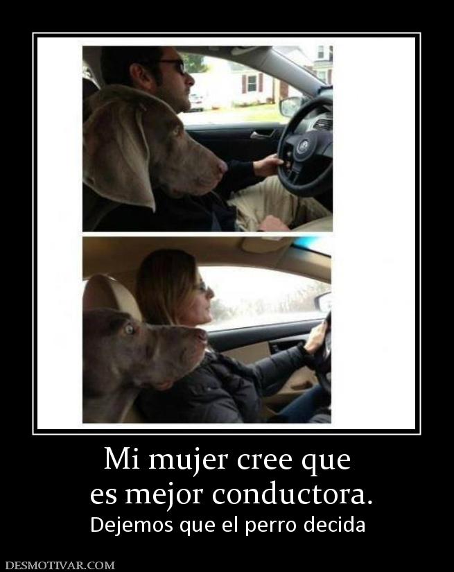 Mi mujer cree que  es mejor conductora. Dejemos que el perro decida