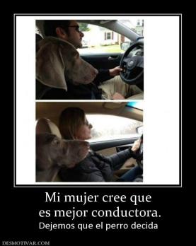 Mi mujer cree que  es mejor conductora. Dejemos que el perro decida