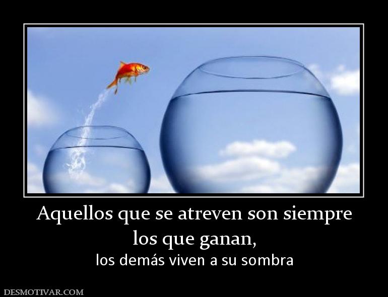 Aquellos que se atreven son siempre los que ganan, los demás viven a su sombra
