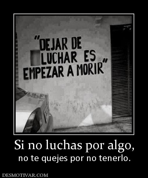 Si no luchas por algo, no te quejes por no tenerlo.
