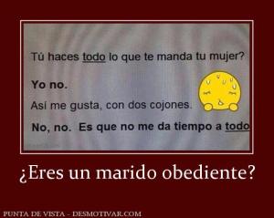 ¿Eres un marido obediente?