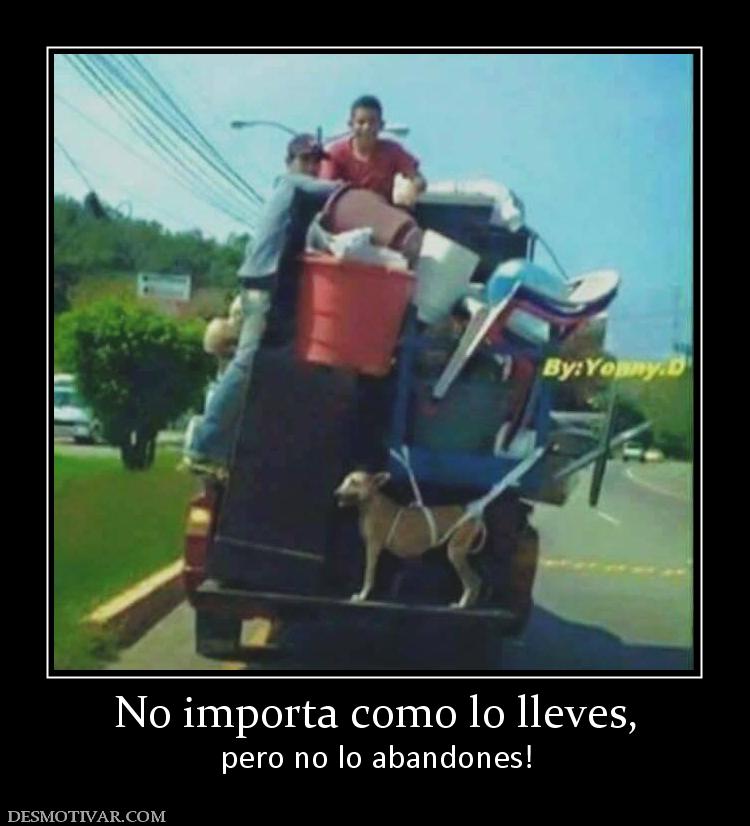 No importa como lo lleves, pero no lo abandones!