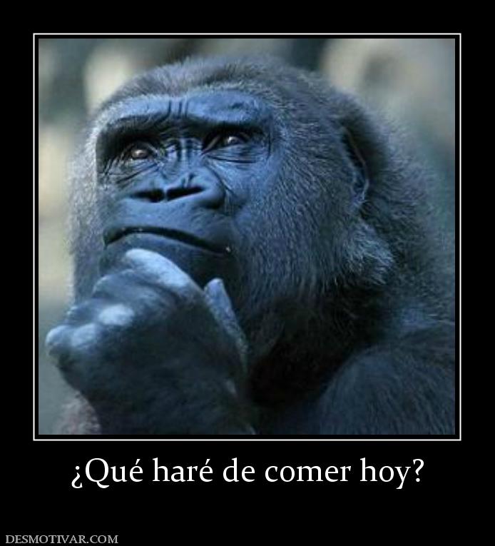 ¿Qué haré de comer hoy?