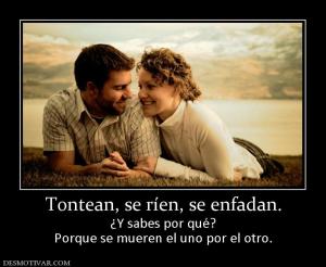 Tontean, se ríen, se enfadan. ¿Y sabes por qué? Porque se mueren el uno por el otro.