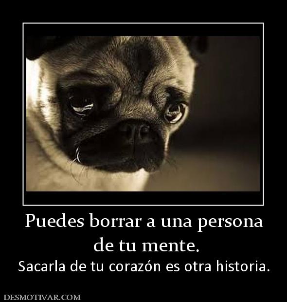 Puedes borrar a una persona  de tu mente. Sacarla de tu corazón es otra historia.