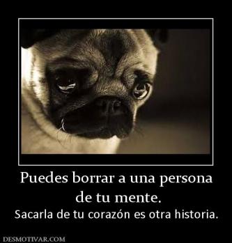 Puedes borrar a una persona  de tu mente. Sacarla de tu corazón es otra historia.