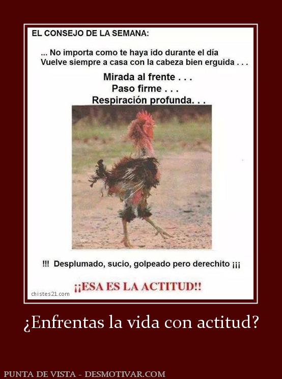 ¿Enfrentas la vida con actitud?