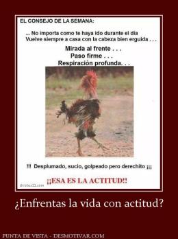 ¿Enfrentas la vida con actitud?