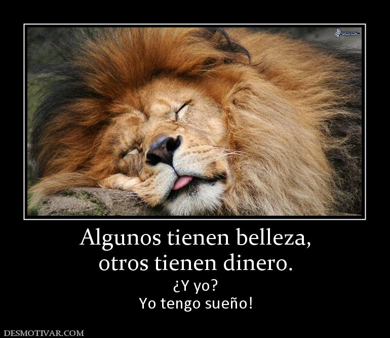 Algunos tienen belleza, otros tienen dinero. ¿Y yo? Yo tengo sueño!