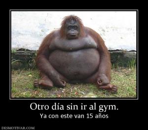 Otro día sin ir al gym. Ya con este van 15 años