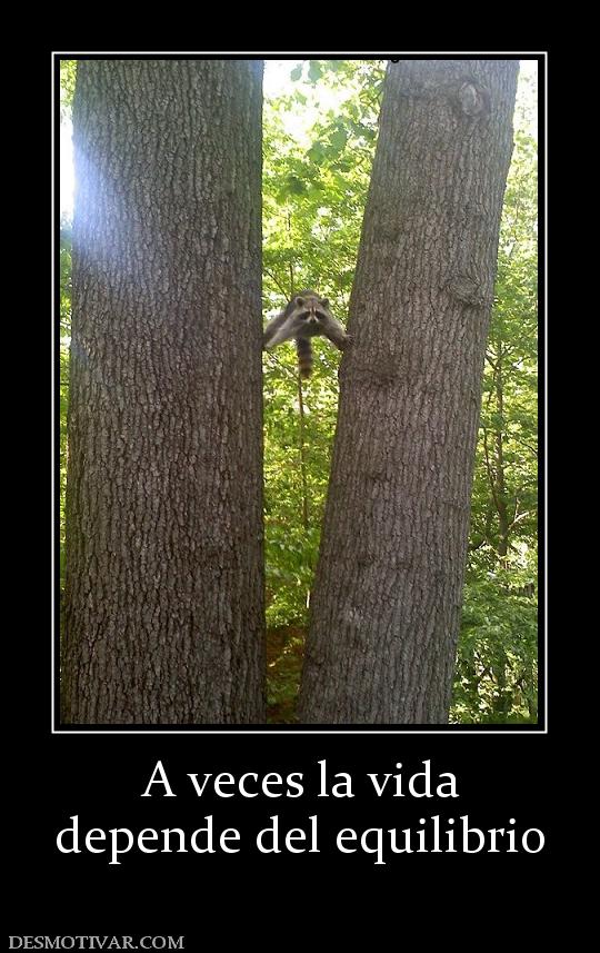 A veces la vida depende del equilibrio