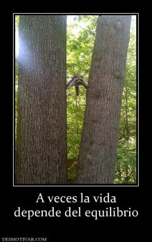 A veces la vida depende del equilibrio