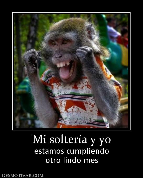 Mi soltería y yo estamos cumpliendo otro lindo mes