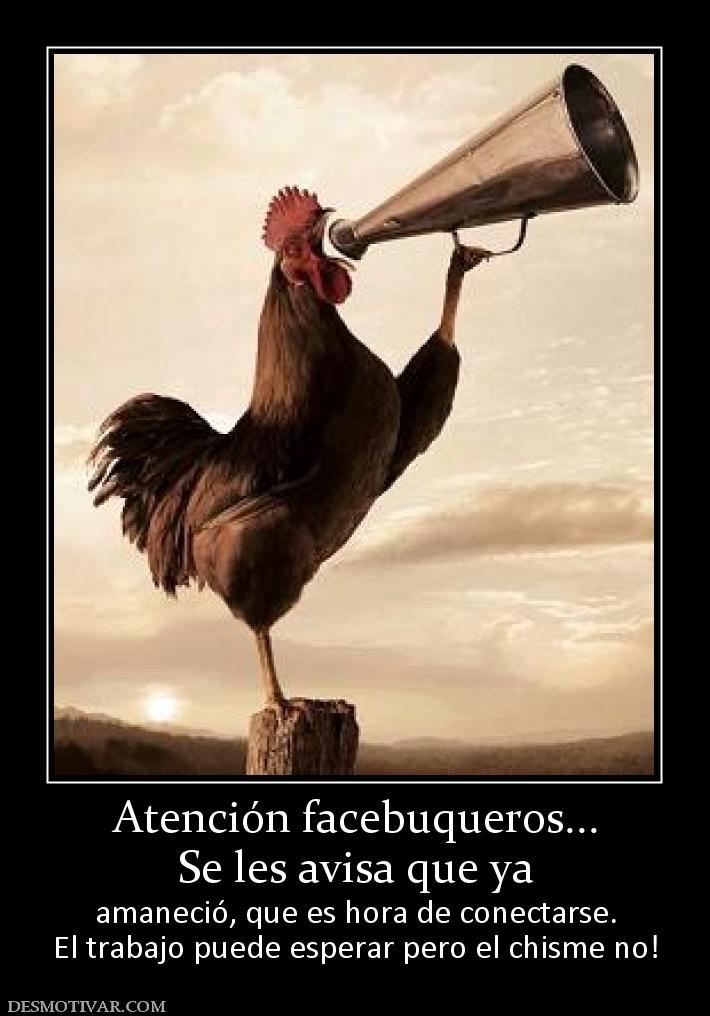 Atención facebuqueros... Se les avisa que ya amaneció, que es hora de conectarse. El trabajo puede esperar pero el chisme no!