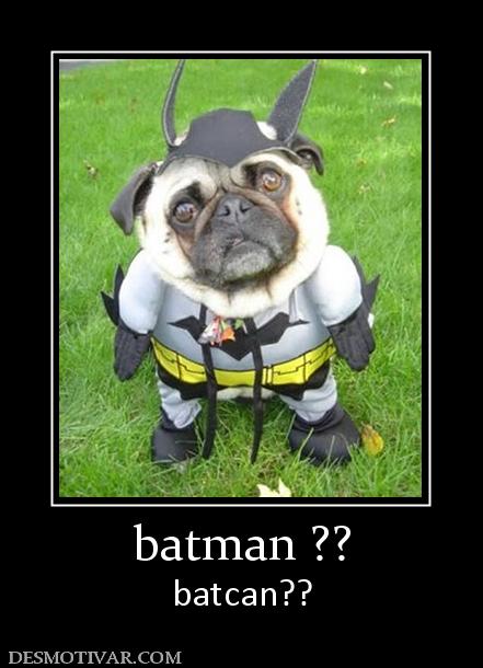 batman ?? batcan??