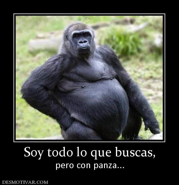 Soy todo lo que buscas, pero con panza...