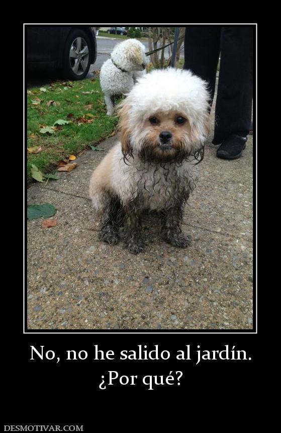 No, no he salido al jardín. ¿Por qué?