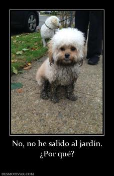 No, no he salido al jardín. ¿Por qué?